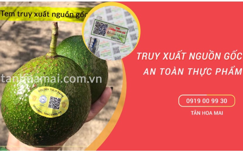 Truy-xuat-nguon-goc-thuc-pham-tanhoamai-1