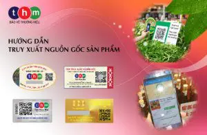 hướng dẫn truy xuất nguồn gốc sản phẩm