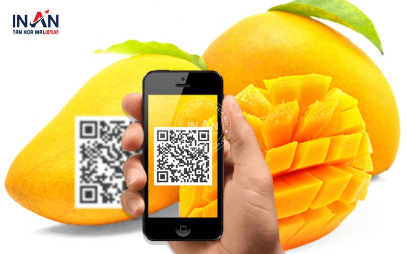 Truy-xuat-nguon-goc-nong-san-tanhoamai-3