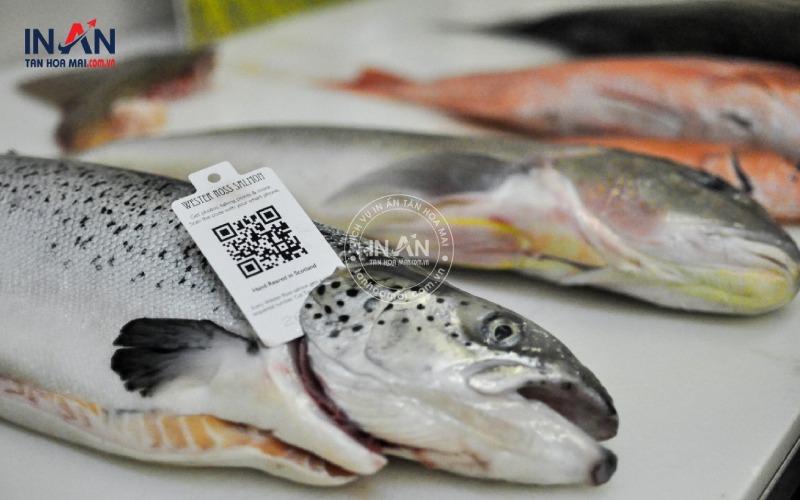 Truy-xuat-nguon-goc-thuy-san-tạnhoamai-1