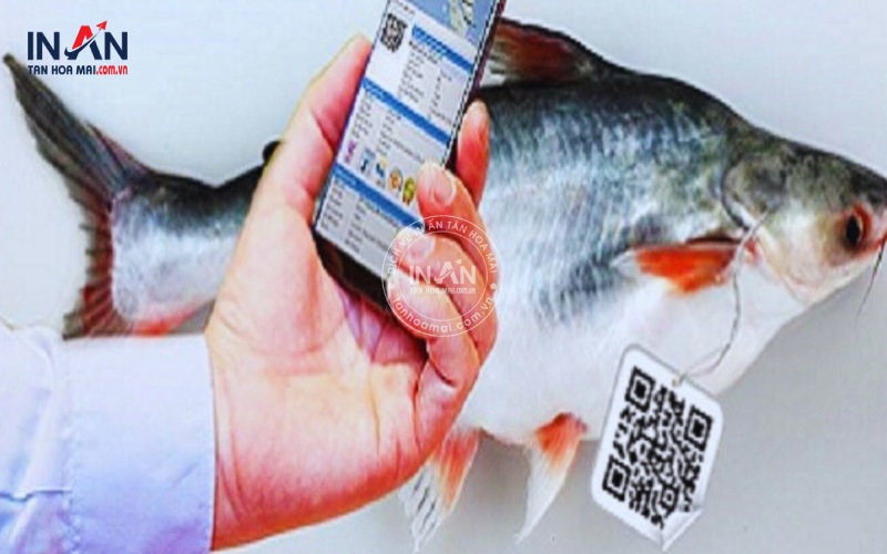 Truy-xuat-nguon-goc-thuy-san-tạnhoamai-2