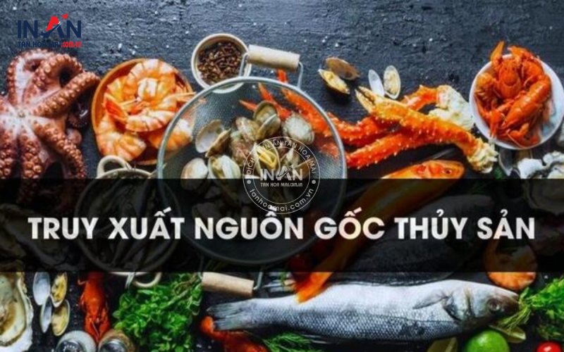 Truy-xuat-nguon-goc-thuy-san-tạnhoamai-3