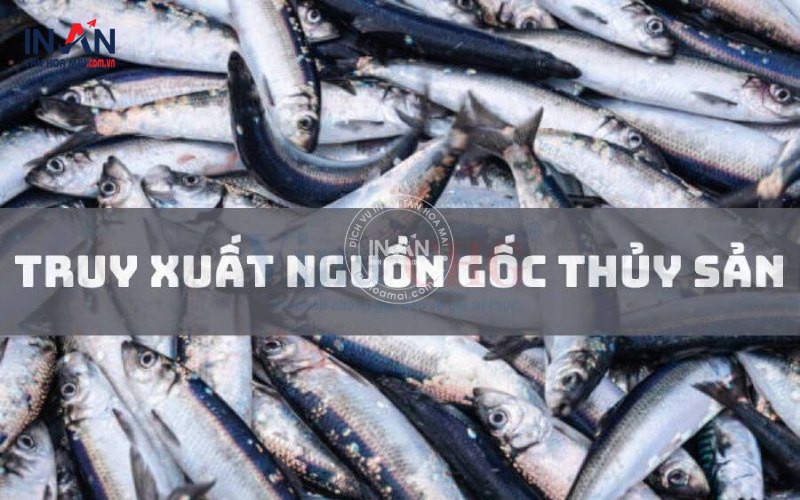 Truy-xuat-nguon-goc-thuy-san-tạnhoamai-5