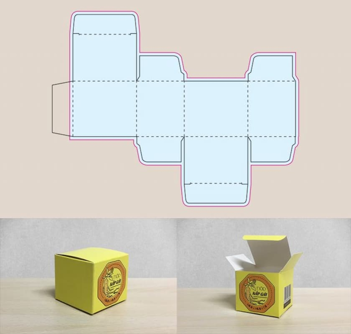 Thiết kế hộp giấy