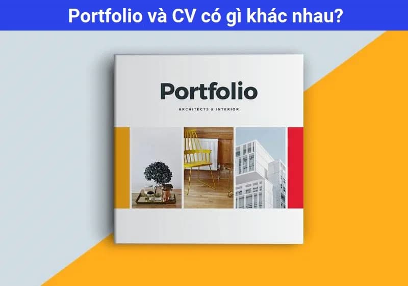 so-sanh-cv-va-portfolio