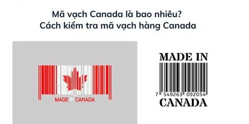 ma-vach-hang-canada