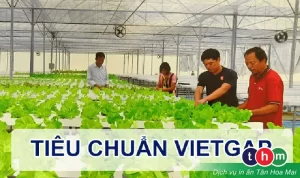 tieu-chuan-vietgap-1