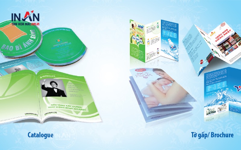 Catalogue và Brochure khác nhau chỗ nào? Phân biệt 2 ấn phẩm