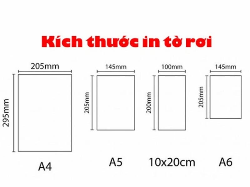 kich-thuoc-to-roi-1