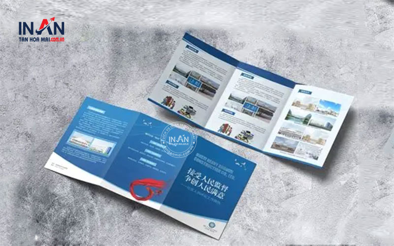 Mẫu Brochure Công Ty đẹp