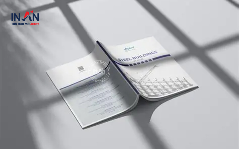 Mẫu Brochure Công Ty đẹp