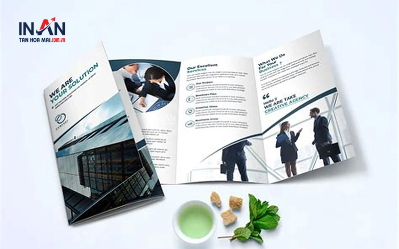 Mẫu Brochure Công Ty đẹp