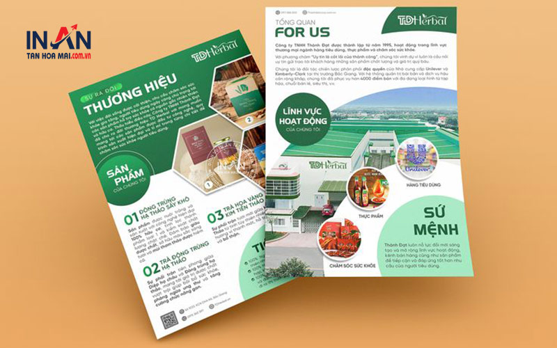 Mẫu Brochure Công Ty đẹp
