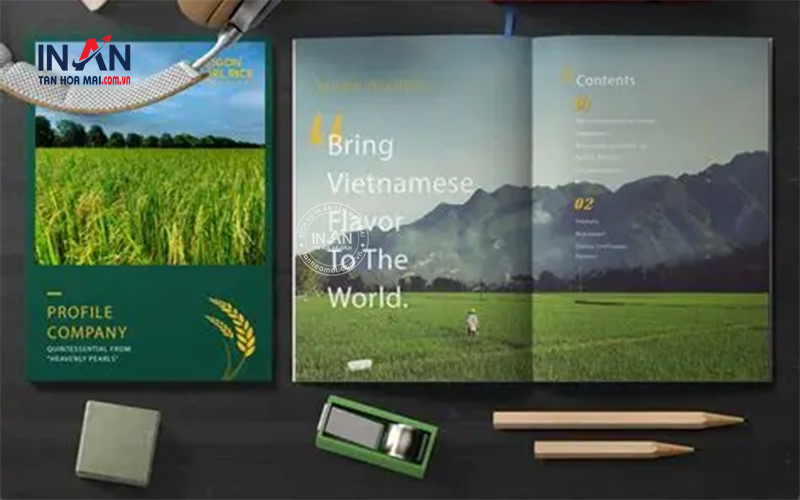 Mẫu Brochure Công Ty đẹp