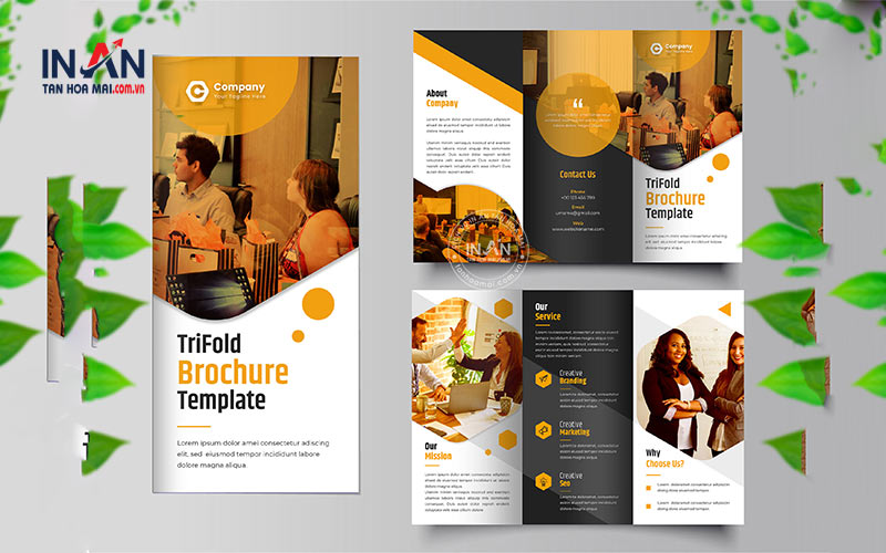 Mẫu Brochure Công Ty đẹp