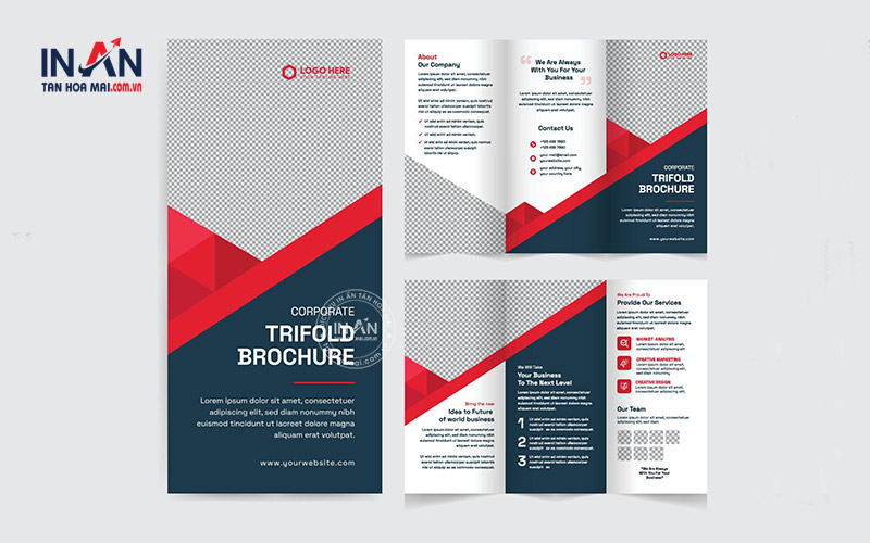 Mẫu Brochure Gấp 3