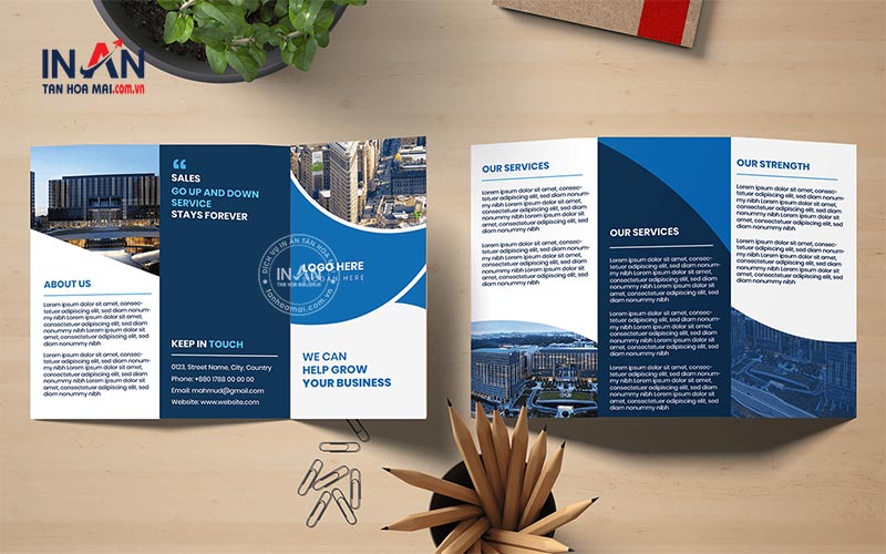 Mẫu Brochure Gấp 3