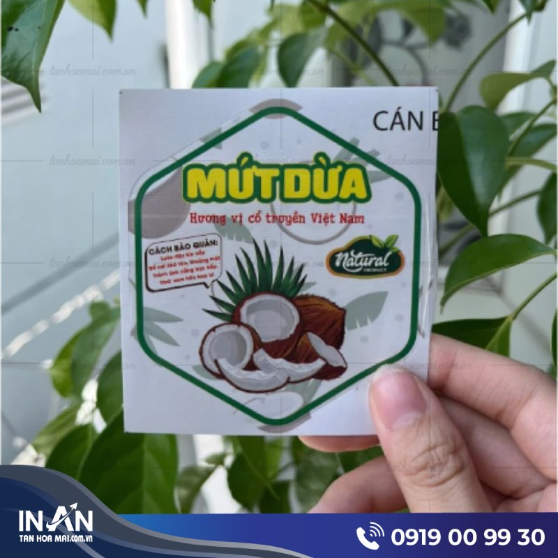 Tân Hoa Mai chuyên in tem mứt dừa