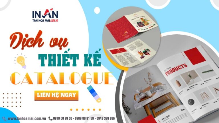Thiết kế catalogue