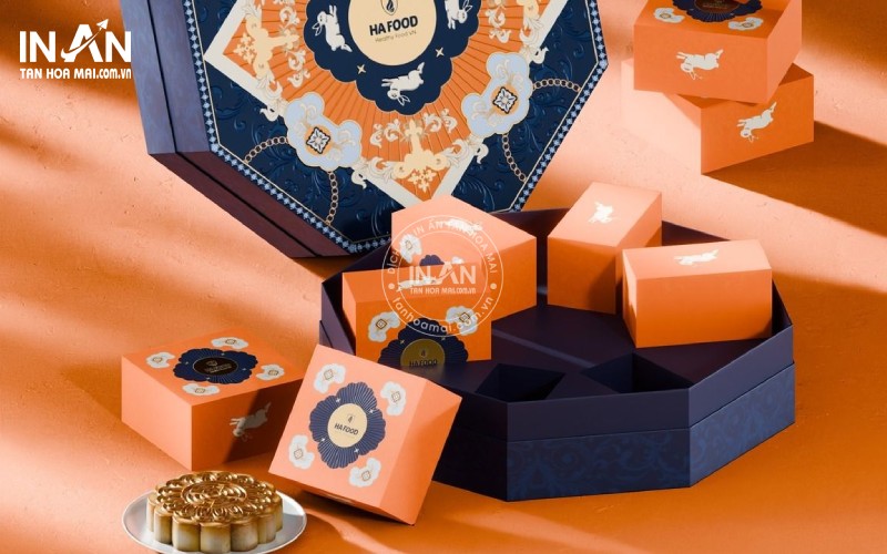 In-hop-giay-tanhoamai-13