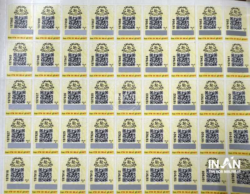 Tem-chong-hang-gia-intanhoamai-1