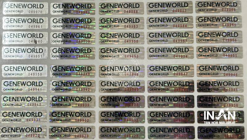 Tem-chong-hang-gia-intanhoamai-10