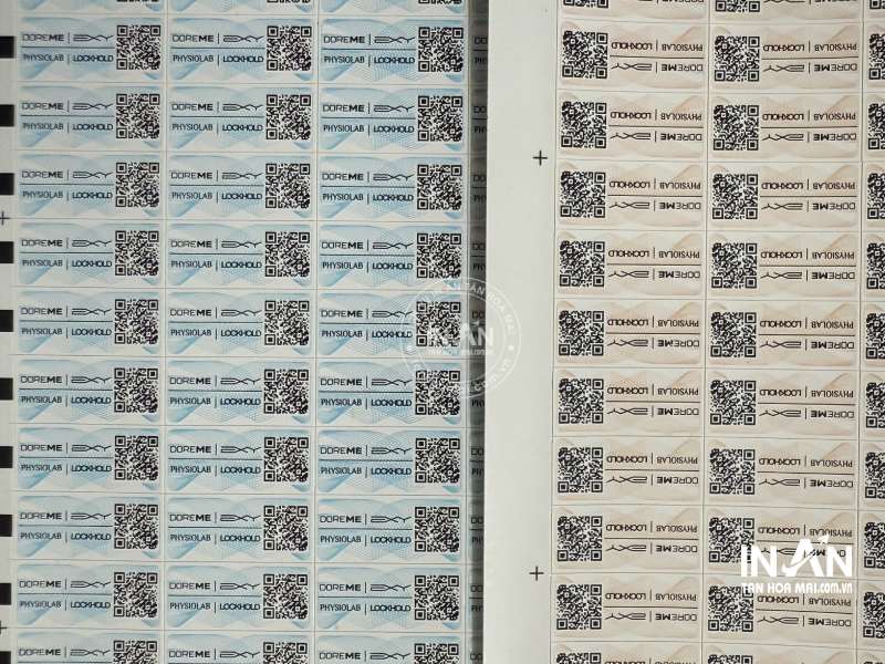 Tem-chong-hang-gia-intanhoamai-12