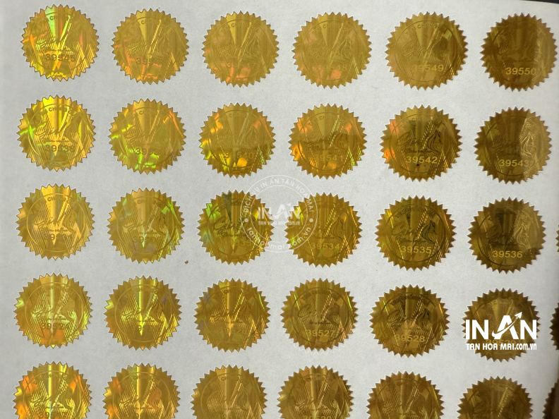 Tem-chong-hang-gia-intanhoamai-16