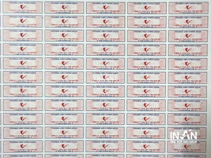 Tem-chong-hang-gia-intanhoamai-3