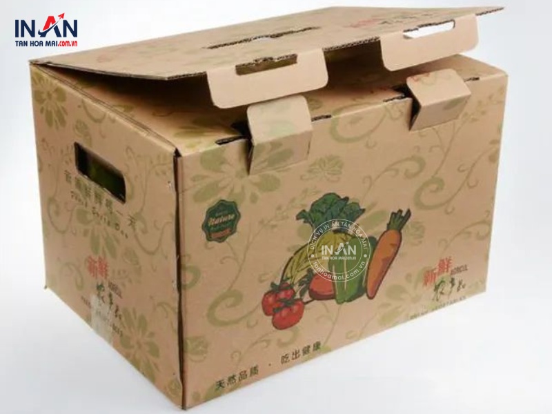 Thung-giay-carton-tanhoamai-01