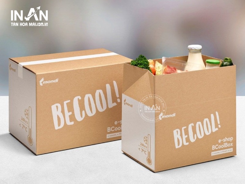 Thung-giay-carton-tanhoamai-17