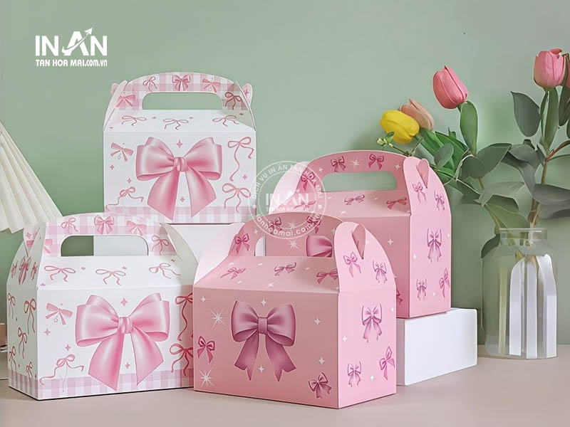 Hop-giay-co-quai-xach-tan-hoa-mai-17