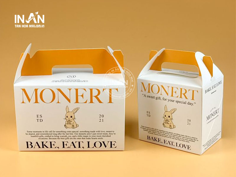 Hop-giay-co-quai-xach-tan-hoa-mai-5