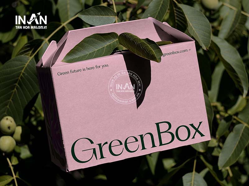 Hop-giay-co-quai-xach-tan-hoa-mai-6