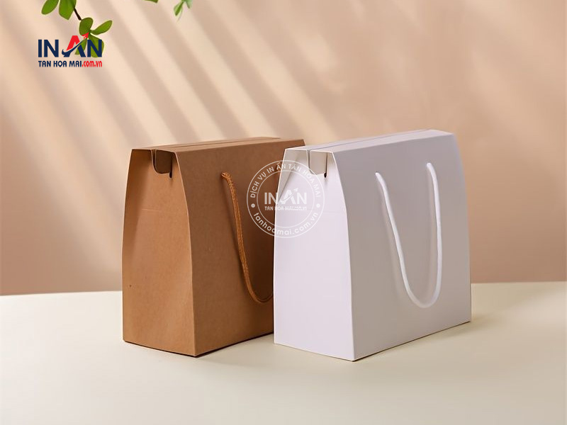 Hop-giay-co-quai-xach-tan-hoa-mai-8