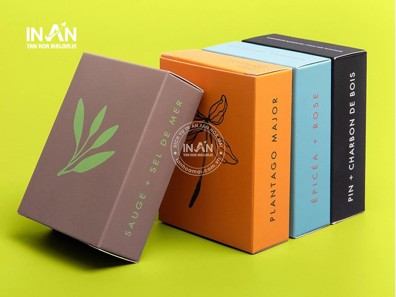 Giay-ivory-tan-hoa-mai-6