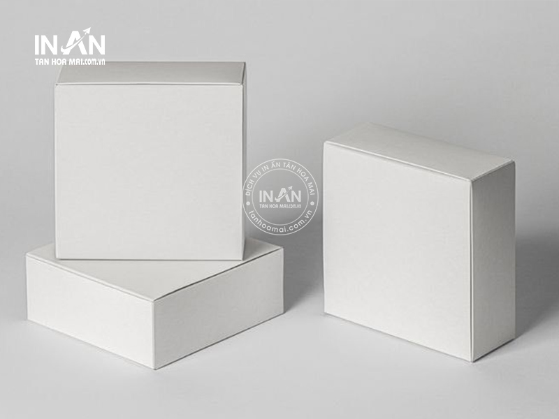 Hop-giay-trang-tan-hoa-mai-6