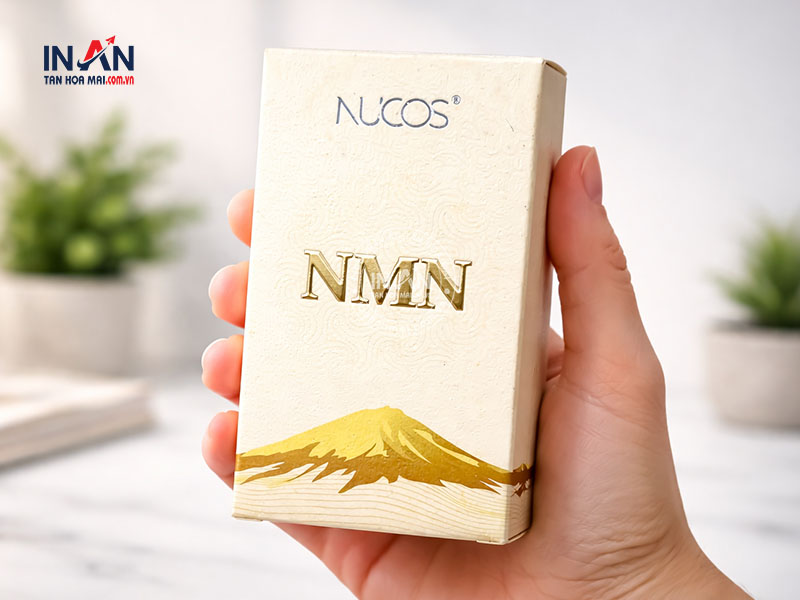 In-hop-giay-tan-hoa-mai-2