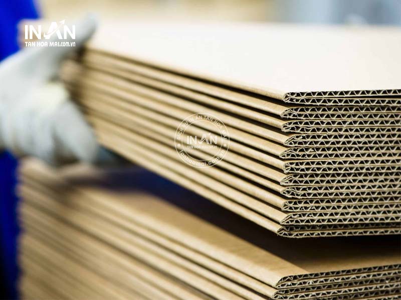 In-hop-giay-tan-hoa-mai-23