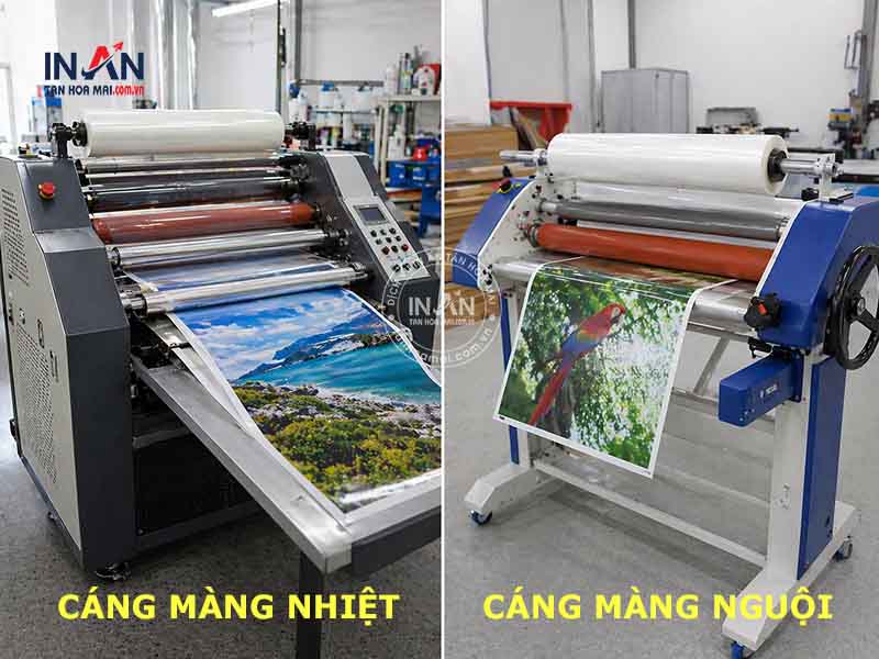 Can-mang-tan-hoa-mai-2