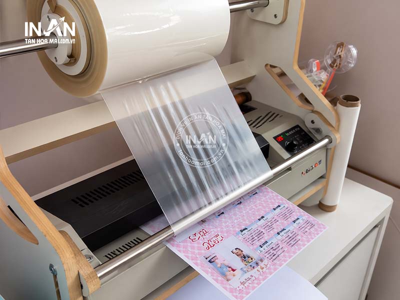 Can-mang-tan-hoa-mai-3