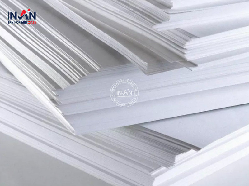 Giay-bristol-tanhoamai-01