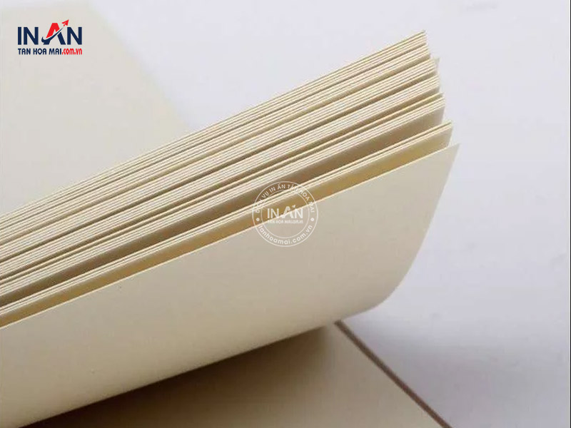 Giay-bristol-tanhoamai-02