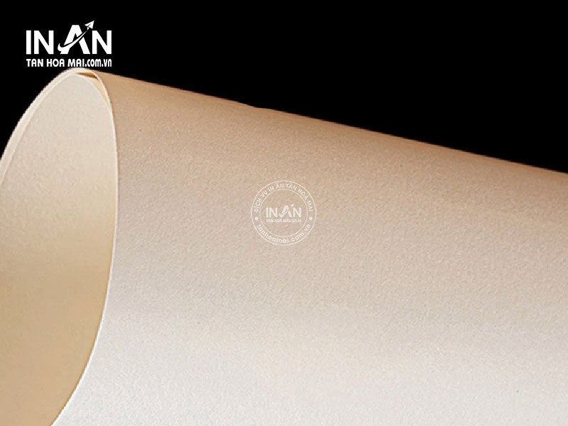 Giay-bristol-tanhoamai-03