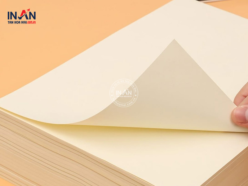 Giay-bristol-tanhoamai-06