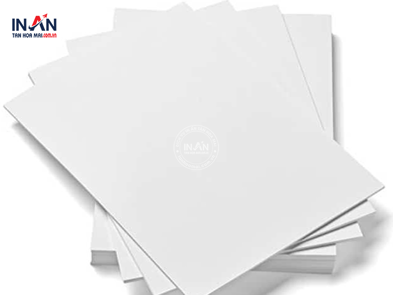 Giay-bristol-tanhoamai-07