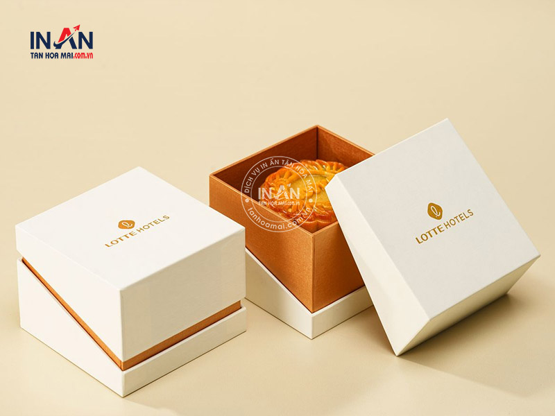 Hop-am-duong-tan-hoa-mai-1