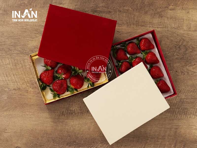 Hop-giay-dung-dau-tay-tan-hoa-mai-10