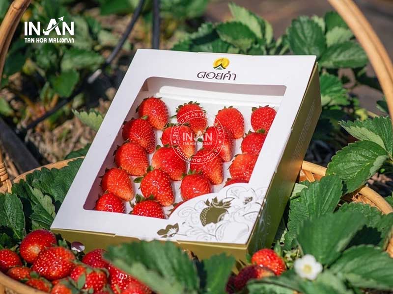 Hop-giay-dung-dau-tay-tan-hoa-mai-11