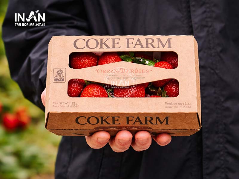 Hop-giay-dung-dau-tay-tan-hoa-mai-12